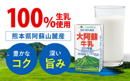 【全12回定期便】大阿蘇牛乳 ロングライフ 250ml 24本（12本入り×2ケース） 6L【合同会社 福福堂】[AYAC029]