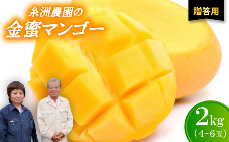 【2026年7月から順次発送・贈答用】糖度20度以上!糸洲農園の金蜜マンゴー2kg(4～6玉)【配送不可地域：離島】【1694631】