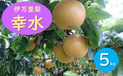 
                  稗田さんが育てた伊万里梨「幸水」5㎏
                