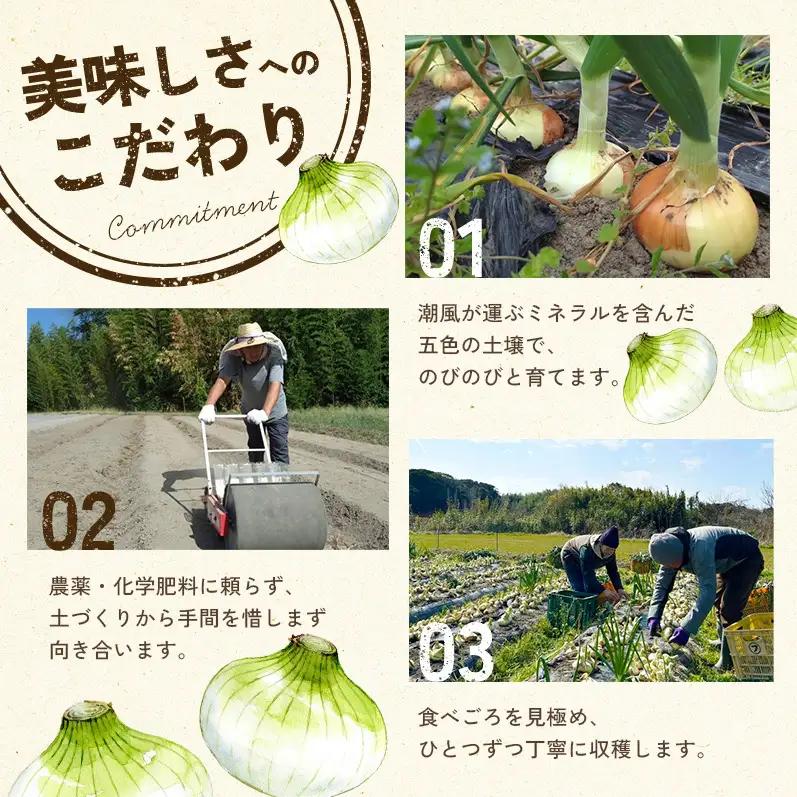 新玉ねぎ 淡路島産 3kg もぐもぐファーム 甘い 新玉ねぎ