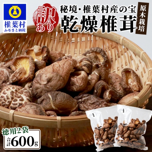 【訳あり】【徳用】秘境・椎葉村産 原木 乾しいたけ 600g（300g×2袋）【森林率96％の村の宝】