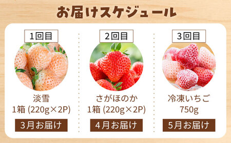 【先行予約】【3回定期便】赤白いちご食べ比べ！ /  いちご イチゴ 苺 いちご イチゴ いちご いちご  [IAP030]