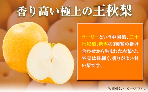 【2025年先行予約】【訳あり】王秋梨 約4kg (4~13玉) 高間商店《2025年10月下旬から2026年1月中旬頃出荷》 鳥取県 八頭町 梨 なし ナシ 果物 フルーツ ご家庭用 先行予約 ふる
