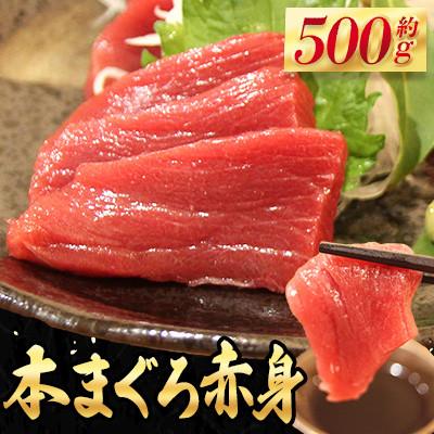 ふるさと納税 時津町 長崎県産 本マグロ「赤身」約500g
