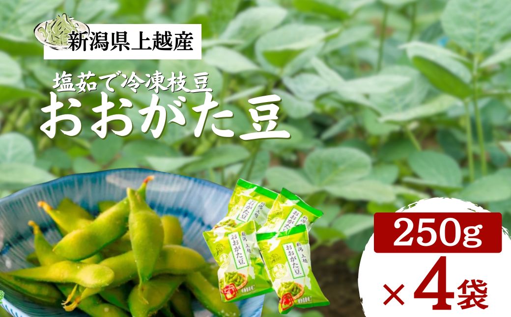 塩茹で 冷凍 枝豆 おおがた豆 1kg 茶豆 えだまめ 濃厚な甘みと香り おつまみ 国産 新潟県 上越市産 送料無料