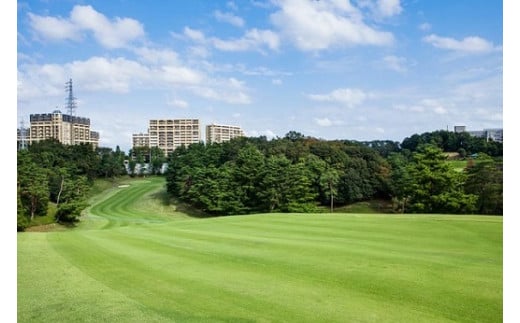 
川崎国際生田緑地ゴルフ場　ご利用券　6,000点（3,000点×2枚）
