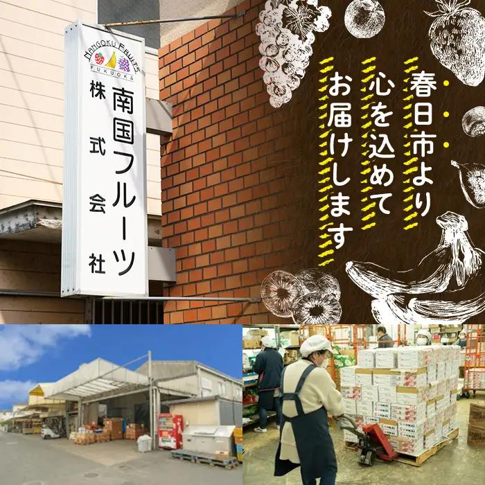 ＜先行予約受付中！2026年9月中に発送予定＞フルーツソムリエが作った濃厚グリーンキウイジェラート 業務用 (1L) アイス アイスクリーム 手作り スイーツ ＜離島配送不可＞【ksg0058-09】