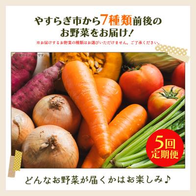 ふるさと納税 香南市 野菜 定期便 人気 5回定期便 やさいBOX(7種類前後) やすらぎ市 産地直送 Wyr-0037 |  | 03