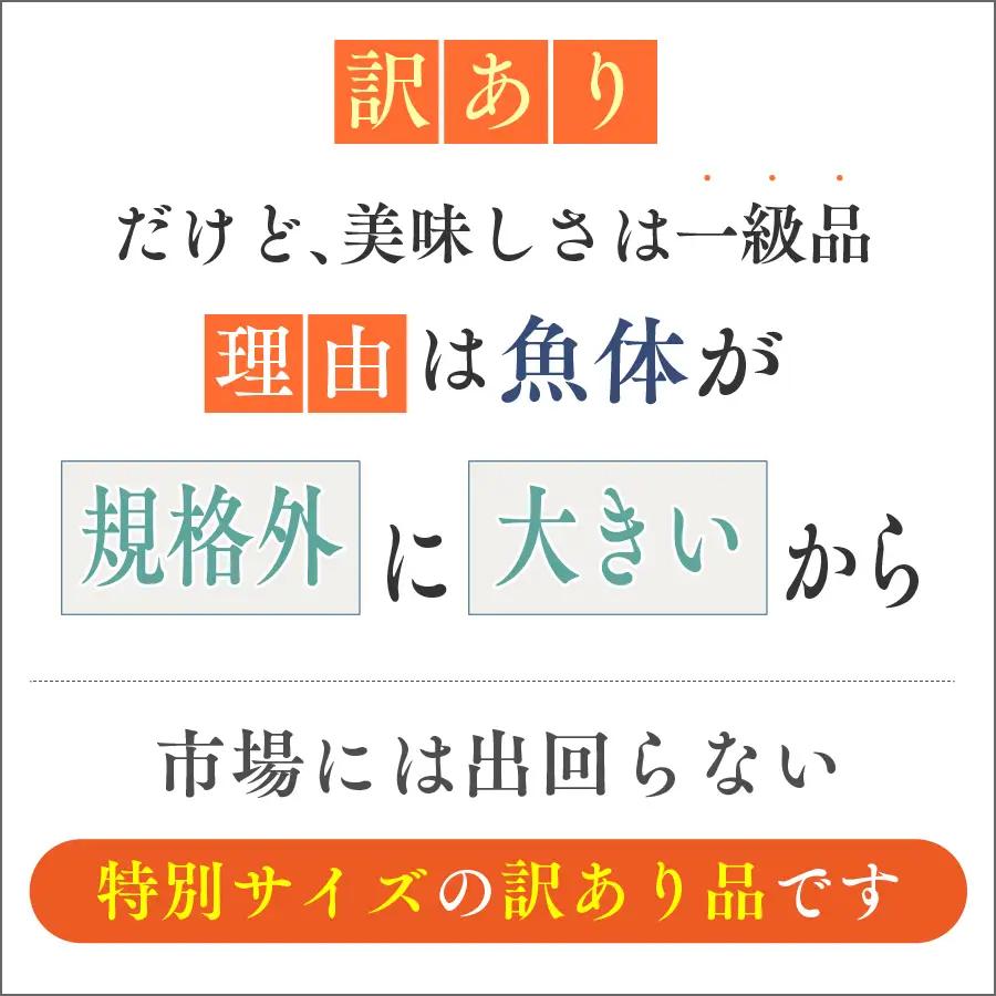 ＼ スピード発送 ／ 訳あり 骨取り 銀鮭【 有塩 】 2kg 鮭