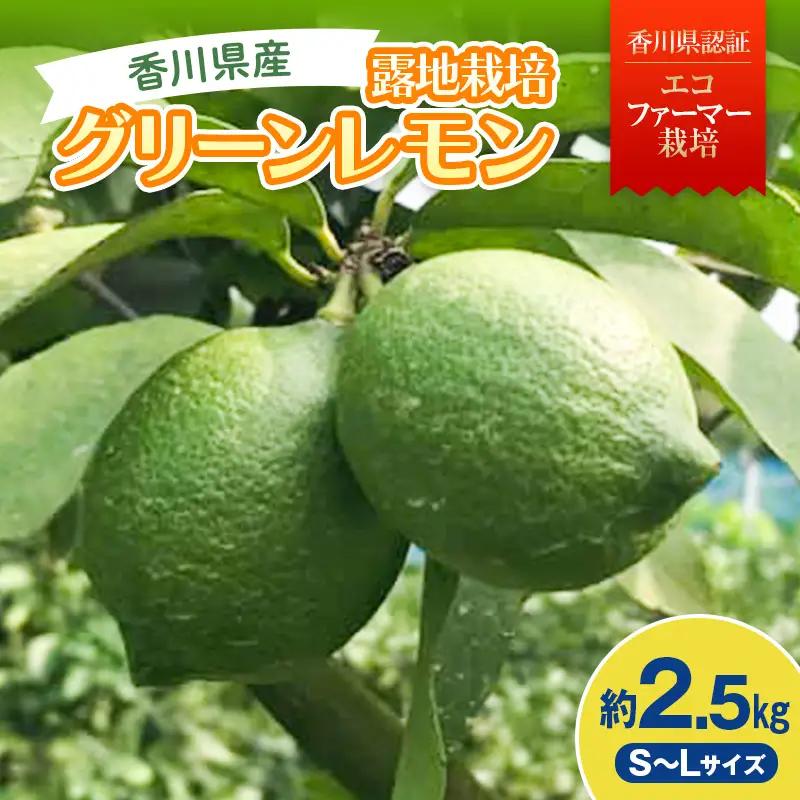 2026年秋よりお届け グリーンレモン（露地栽培）約2.5kg 果物類 柑橘類 檸檬  柑橘 レモン デザート フルーツ 果物 くだもの 果実 食品 FAH-0177