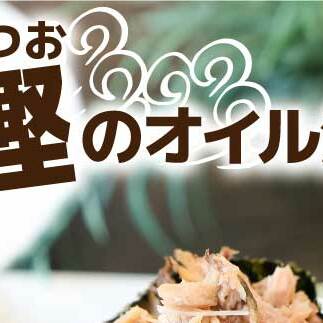 カツオのオイル漬け 12P 1パック100g かつお 鰹 パウチ 常温保存 油漬 パスタ サラダ おにぎり 防災 非常食 長持ち 備蓄 キャンプ アウトドア ふるさと納税 加工品 高知 田野町
