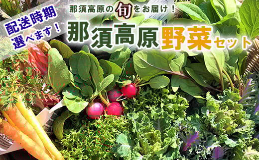 【2026年5月発送】【配送月が選べる】那須ブランド 那須高原野菜セット ｜ 野菜 お野菜 新鮮 詰め合わせ やさい みずみずしい 美味しい 自然 栃木県 那須町〔B-80〕 ※北海道・沖縄・離島への配送不可 ※2025年11月上旬～2026年10月下旬頃に順次発送予定