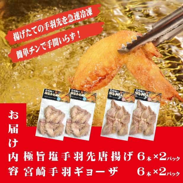 【レンジでチンするだけ♪】極旨塩手羽先唐揚げ 宮崎手羽ギョーザ セット_イメージ2