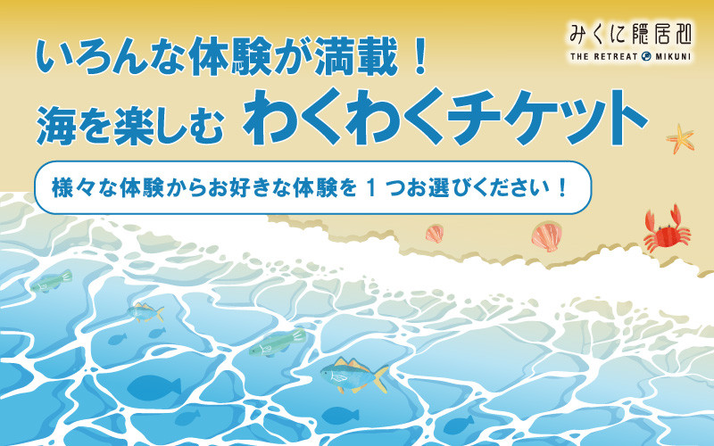 
福井旅行に最適！海を楽しむワクワク体験チケット 【感謝券】【坂井市 三国 体験 東尋坊 海釣り 見学 グルメ】 [B-5958]
