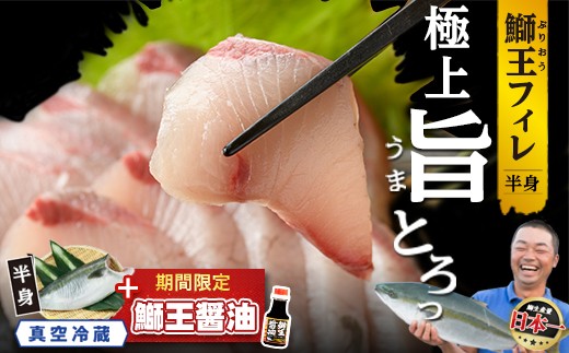 テレビで紹介されました！長島町特産「鰤王」フィレ(約1.5kg・フィレ1枚)【JFA】