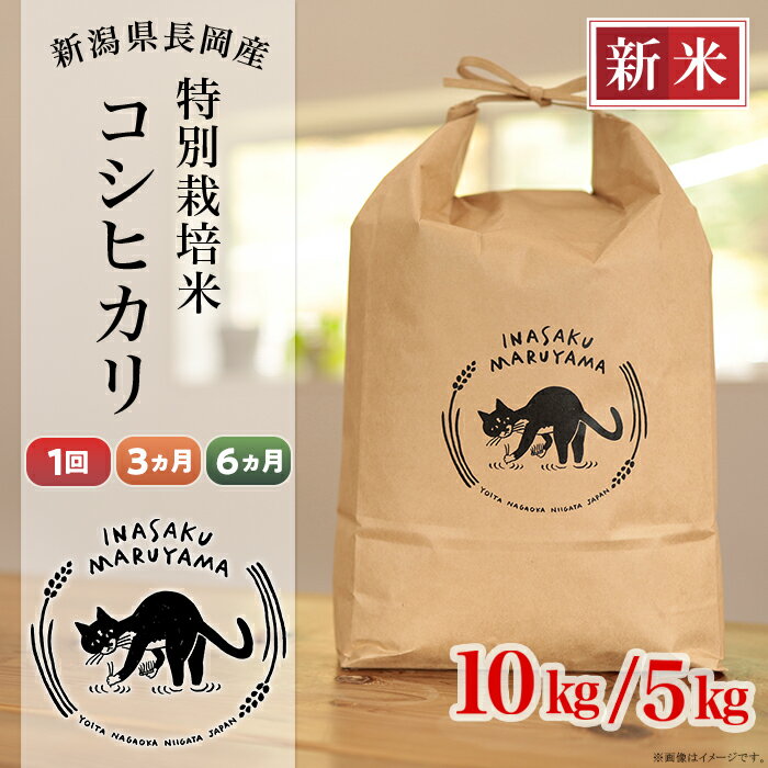 【ふるさと納税】新米予約 令和7年産 米 定期便 5kg 10kg 新潟 コシヒカリ 選べる 1回 3回 6回 3ヶ月 6ヶ月 新潟こしひかり 精米 白米 お米 新潟県長岡産 特別栽培米コシヒカリ（稲作まる山）