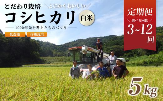 
            【定期便3～12回】令和6年産 有機栽培コシヒカリ白米 5kg 京都府産 低農薬 毎月お届け 3ヶ月 6ヶ月 12ヶ月【 米 5キロ 精米 白米 こめ コメ お米 おこめ こしひかり 井上吉夫 米農家 有機栽培米 有機栽培 農家直送 減農薬 綾部市 京都府 】
          