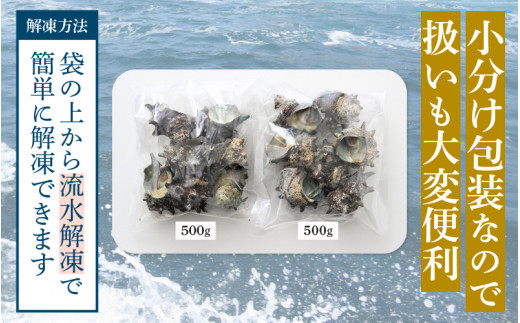 【先行予約】 天然 さざえ ボイル済 13～15個入 1kg（500g × 2袋）産地直送でお届け！【2025年6月10日～9月30日の期間に順次発送】 【越前町産 栄螺 サザエ 冷凍 小分け 海鮮 