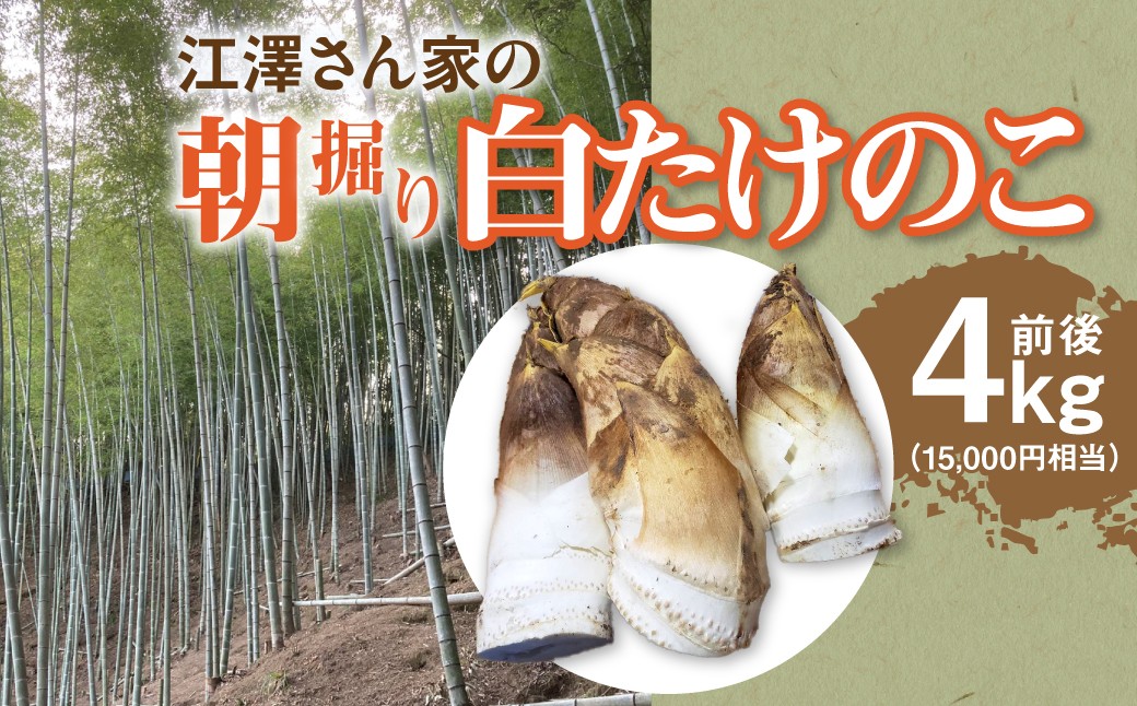 
                  【2027年産先行予約】江澤さん家の朝掘り白たけのこ たけのこ 野菜 W05402
                