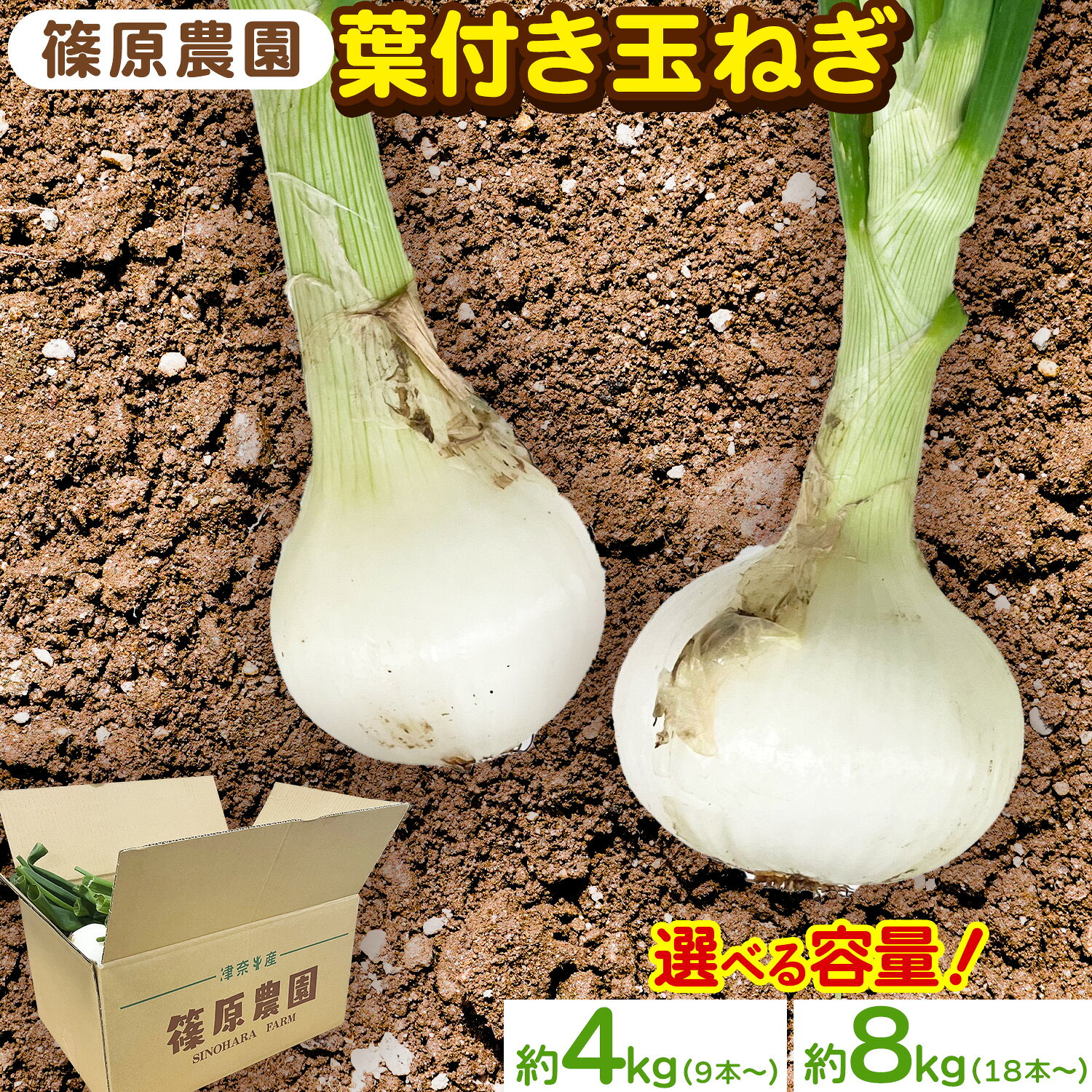 【ふるさと納税】葉付き玉ねぎ 選べる 4kg 8kg 篠原農園《1月上旬-3月中旬頃出荷予定》熊本県 葦北郡 津奈木町 野菜 たまねぎ バーベキュー ホイル焼き