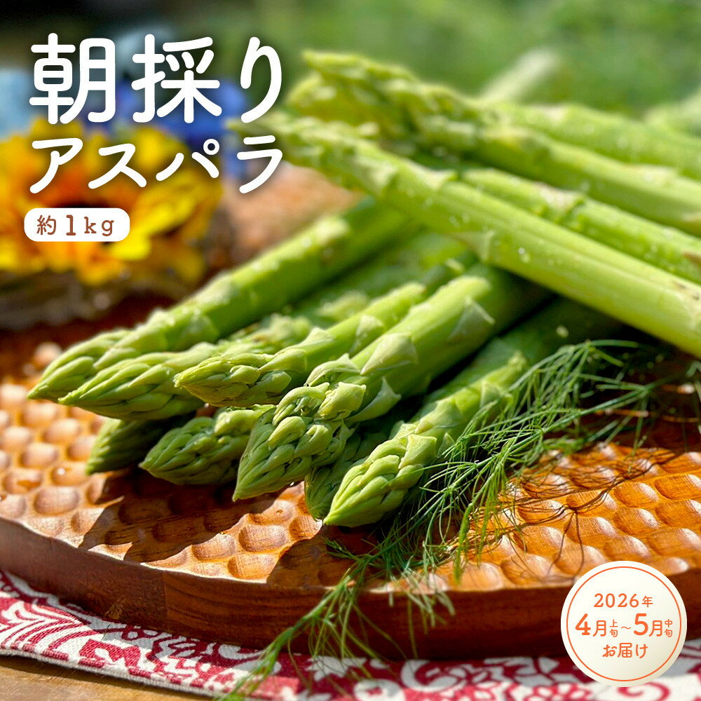 【ふるさと納税】【先行受付】朝採りアスパラガス（約1kg）／2026年4月上旬～5月中旬お届け | 野菜 アスパラガス グリーンアスパラ 旬 朝採り とれたて 産地直送 送料無料 楽天ふるさと 納税 返礼品 お取り寄せグルメ 取り寄せ お取り寄せ 三重県 伊賀市 三重 伊賀