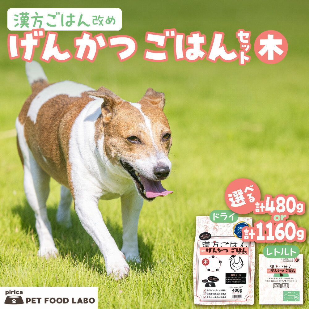【ふるさと納税】 ペットフード 犬 げんかつごはん 【 選べる 容量 】 漢方ごはん 木 ドライタイプ レトルト 計480g 計1160g セット 愛犬用 ノンオイルコーティング 鶏 食養生 薬膳 総合栄養食 安心素材 北海道食材 漢方食材 着色料 保存料 酸化防止剤不使用 北海道 札幌市