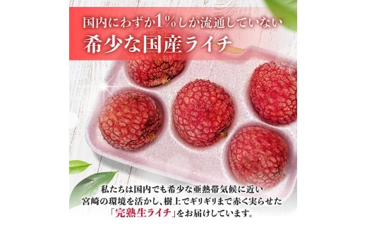 ※サイズが選べる※【令和9年産】川南町産ライチ 10粒(5粒×2パック) 【 国産ライチ フルーツ デザート 宮崎県産 】 [B03207 B03208 B03209]