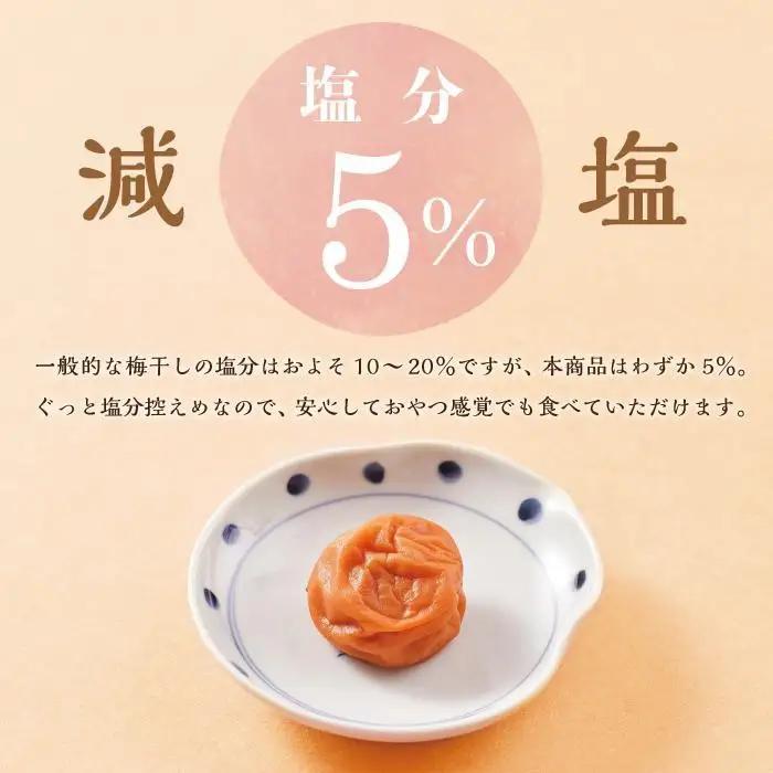 紀州南高梅 訳あり はちみつ梅 塩分5％ 1.2kg（300g×4パック）