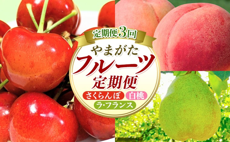 
                  【定期便3回】やまがたフルーツ定期便 さくらんぼ /白桃/ラフランス FY26-075
                