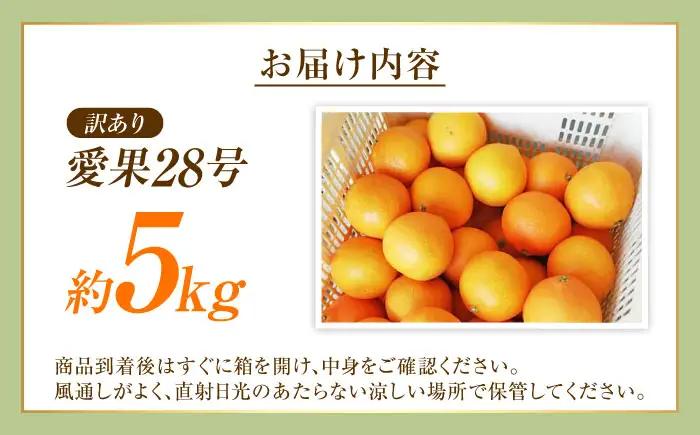 みかん 訳あり 愛果28号 約5kg フルーツ 果物 みかん 訳あり BJBG002