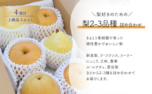【2026年先行予約】桃・ぶどう・梨が全４回届く岡山フルーツ定期便 (岡山県産)【KF-T006-03】
