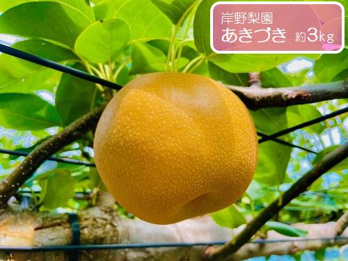 
                  あきづき 約3kg / 岸野梨園 / 梨 なし 果物
                