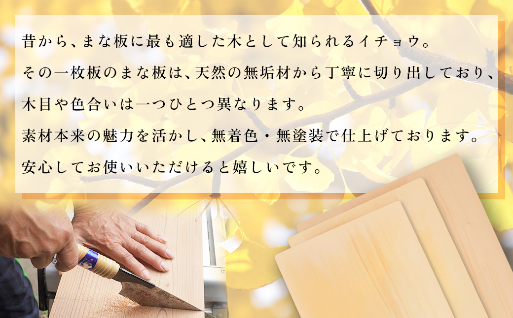 H35　いちょうの一枚板のまな板（大）45cm×24cm
