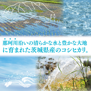 【翌月より順次発送】【数量限定】【令和7年産】茨城県産コシヒカリ 5kg(ND-3)