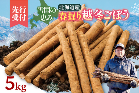 北海道十勝清水町産 越冬ごぼう 5kg【2026年春発送予定】牛蒡 ゴボウ
