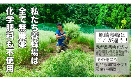 【白金色に輝く】 国産 アカシア 蜂蜜 120g 無添加 無着色 非加熱 安心安全 こだわり はちみつ ハチミツ ハニー