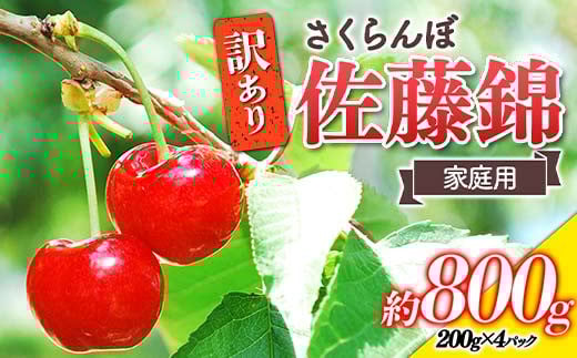 【令和8年産先行予約】 〈訳あり品 家庭用〉 さくらんぼ 「佐藤錦」 約800g (200g×4パック Mサイズ) 《令和8年6月中旬～発送》 『田口農園』 サクランボ 生産農家直送 小分け 果物 フルーツ 山形県 南陽市 [1691]