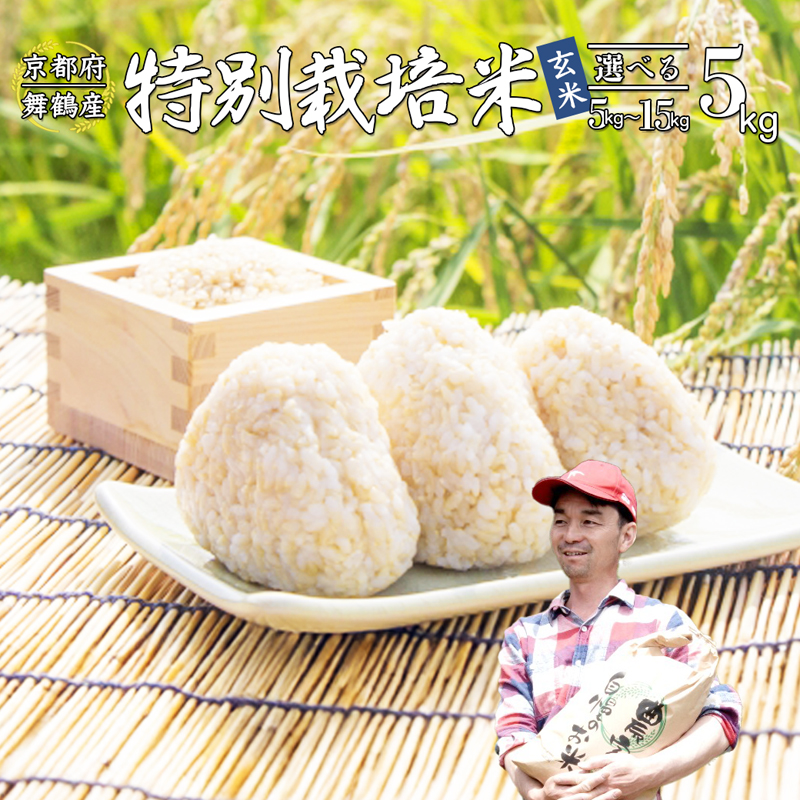 【令和7年度産 新米 先行予約】 棚田米 玄米 5kg コシヒカリ 特別栽培米 7割削減 新米 京都産 農家直送