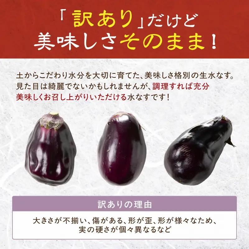 まるやま農園 泉州生水なす訳あり品 12個入り【ふるさと納税3.0】【087D-127】