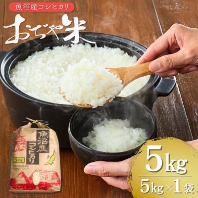 ふるさと納税 小千谷市 【令和7年産米】魚沼産コシヒカリ おぢや米 精米 5kg クラフト袋 お米 新潟県 小千谷市