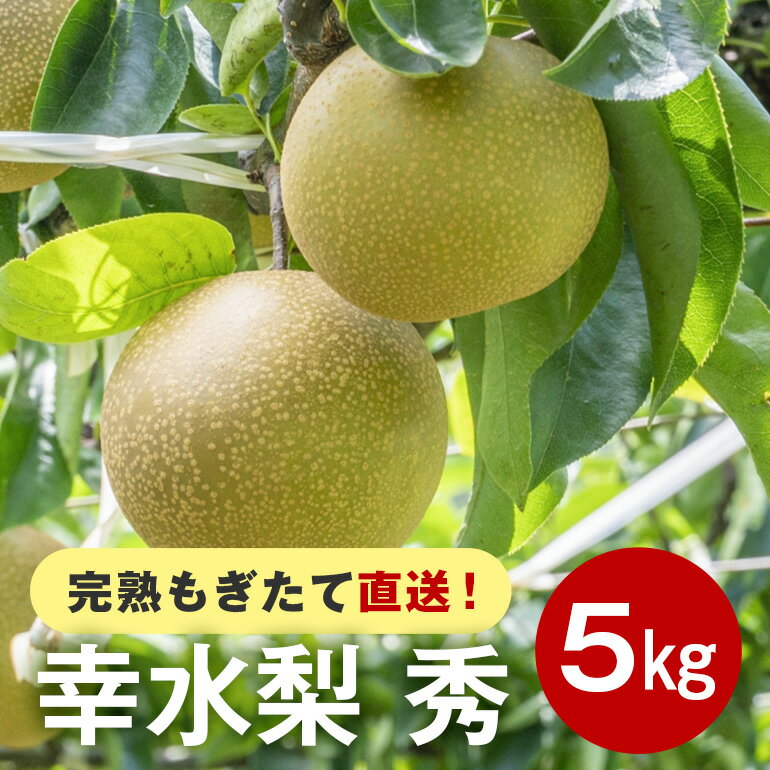 【ふるさと納税】【先行販売/8月中旬から発送】 幸水 梨 秀 5kg 10～16個入 (アカツファーム) ナシ なし 幸水梨 ギフト 贈答用 秀品 産地 茨城 笠間 完熟 甘い 秋 旬 果物 フルーツ 果汁 新鮮 デザート くだもの ジューシー 秋の味覚 旬の果物 産地直送 茨城県 笠間市