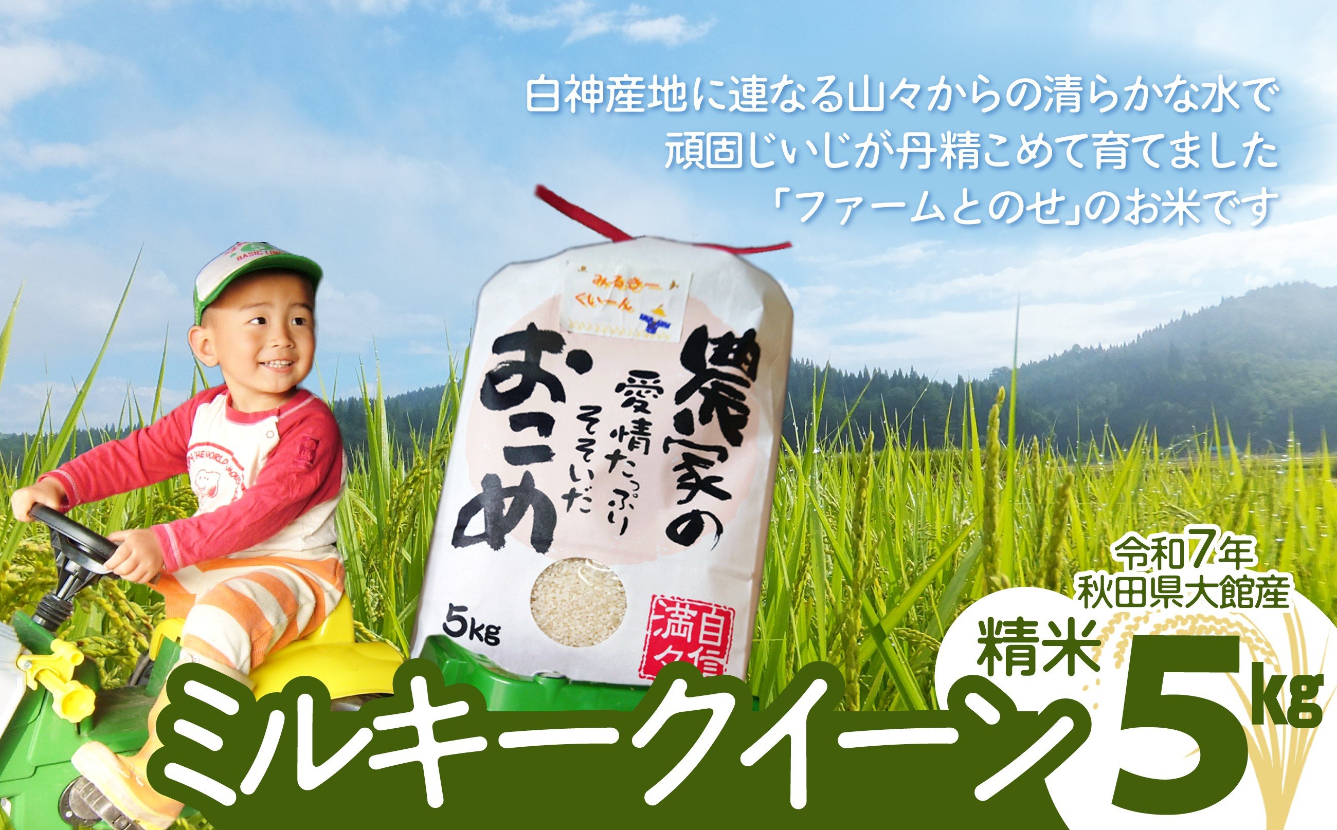 
            【令和7年産】ファームとのせ「ミルキークイーン精米5kg(5kg×1袋)」　85P9002  / 米 無洗米 5kg 白米 令和7年産 秋田県産 ミルキークイーン  みるきーくいーん おにぎり 大館 東北 秋田 小分け こわけ 大館市 5キロ 5ｷﾛ 5きろ
          