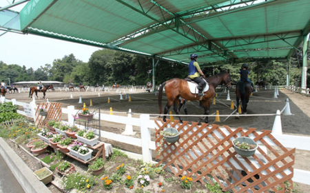 乗馬スクール ペア 1回コース | 乗馬体験