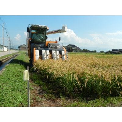 令和8年産「コシヒカリ」玄米30kg×1袋