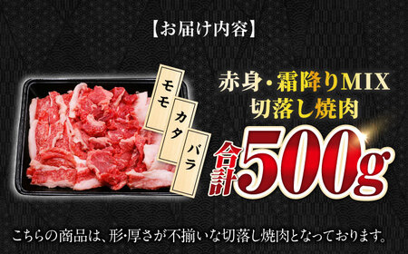 【飛騨牛】赤身・霜降りMIX 切落し焼肉(モモ・カタ・バラ)500g 焼肉丼 カルビ ロース 岐阜市/丸福商店[ANBO024]
