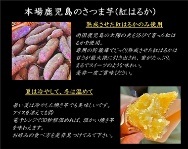 鹿児島県産 さつまいも 【3種食べ比べ】 焼き芋 3kg(500g×6袋) 蜜芋 さつまいも【クール便配送】 2682