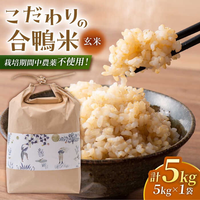 【ふるさと納税】〈令和7年度産米〉合鴨農法玄米 5kg 【あいがもん倶楽部】[ZAR028] 令和7年