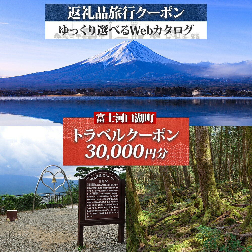 【ふるさと納税】 富士河口湖町 後から選べる旅行Webカタログで使える！ 旅行クーポン（30,000円分） 旅行券 宿泊券 FEO001