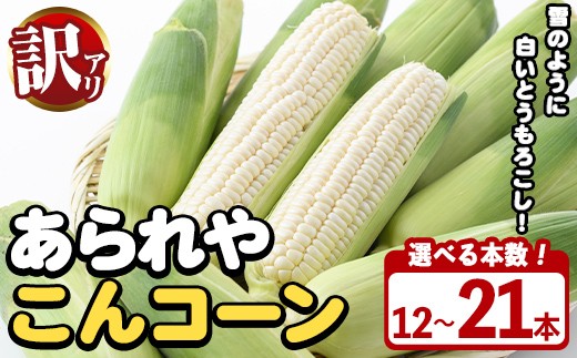 
                  ＜容量が選べる！＞訳あり！白いとうもろこし「あられやこんコーン」(6～21本) 国産 トウモロコシ 玉蜀黍 ホワイト コーン 野菜 糖度 夏 イネ科 数量限定 期間限定 訳アリ 旬 【うとさんち】
                