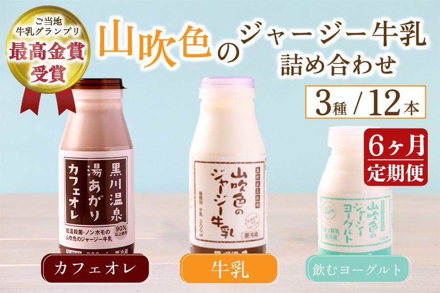 【6ヶ月定期便】黒川温泉発 山吹色のジャージー牛乳 最高金賞セット 6ヶ月 定期便 3種 12本 ジャージー牛乳 牛乳 飲むヨーグルト カフェオレ コーヒー牛乳 6回 黒川温泉 詰め合わせ アソート セット 乳製品 飲料 健康 腸活 免疫力アップ 乳酸菌 ご当地牛乳グランプリ 最高金賞 ご当地 ギフト 贈答用 山のいぶき 熊本 阿蘇 南小国町 送料無料